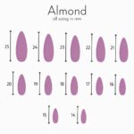 long-almond-size-chart