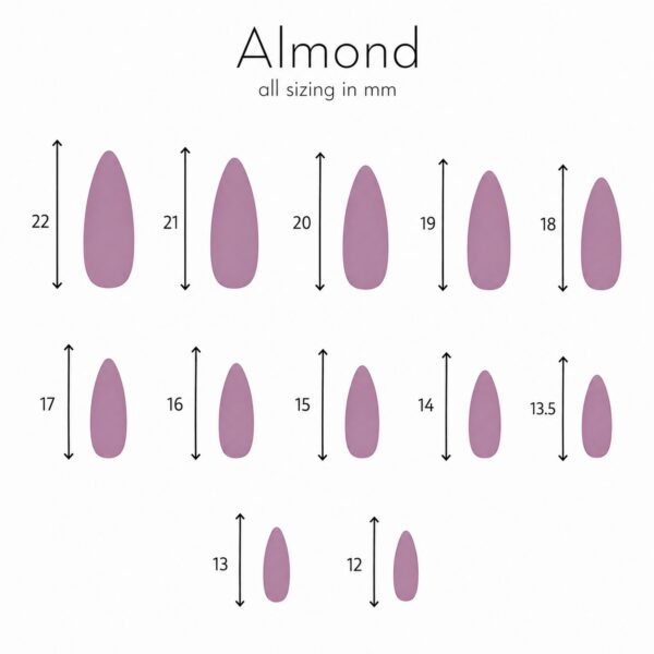 medium-almond-size-chart