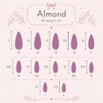 almond-medium-nails-size